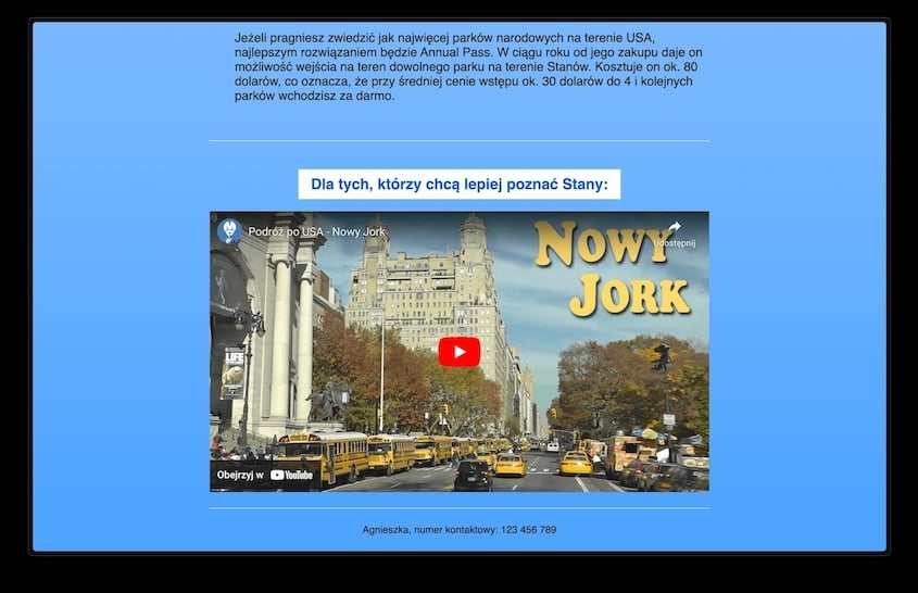 Strona internetowa opisująca USA